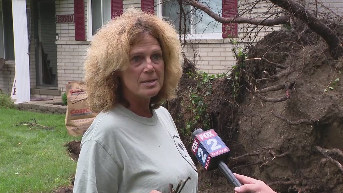 Storm aftermath west side: Livonia hit hard with trees, power lines down